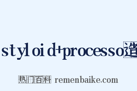 styloid+processo造句是什么意思的图片